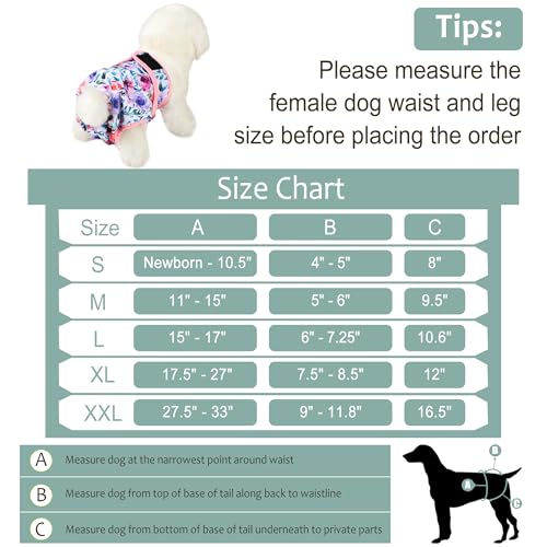 Image of Female Dog Diapers - Reusable Diapers for Doggie in Heat - Highly Absorbent for Pet Incontinence with Snaps (Pack of 3) Rose, M