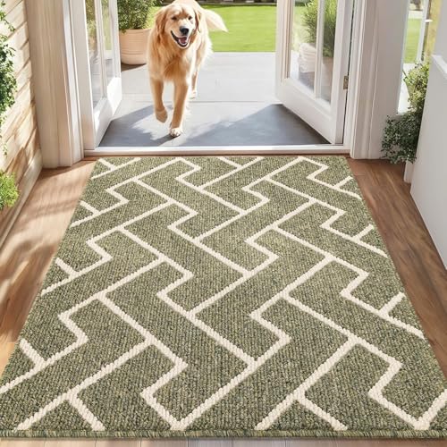 Biscpro Schmutzfangmatte 80 x 100, Rutschfestigkeit Fußmatte,Maschine gewaschen Türmatte für Hund, Außen Innen Garten,Teppich,küchenteppich,Haustür