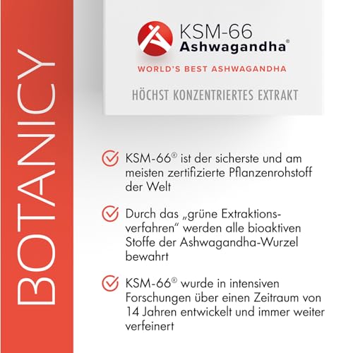 BOTANICY Inner Balance - 60 Ashwagandha Kapseln mit BIO KSM-66 - Alternative zu Anti Stress Tabletten - Indische Schlafbeere, Ginkgo Biloba, Rosenwurz, Vitamin B5 und B9 plus Zink - Laborgeprüft