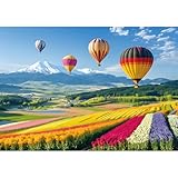 2000 Piece Puzzle for Adults – Colorful Hot Air Balloons Over Tulip Fields & Mountains – Vibrant Nature Jigsaw Puzzle – Challenging for Adults, Families & Puzzle Lovers – 39' x 28'