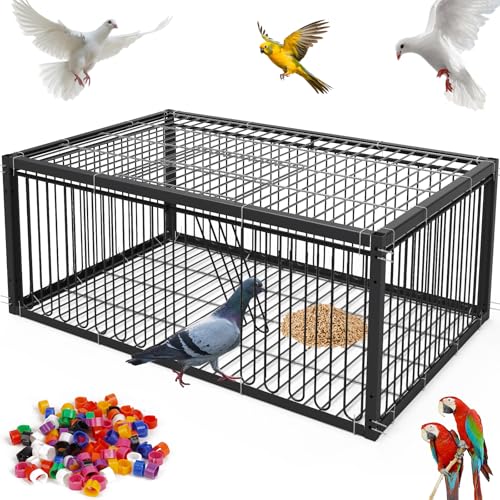 MOGOULUA Cage à pigeons, 60 cm, pour la collecte des pigeons, pigeons voyageurs, pigeons à viande, cailles, noir