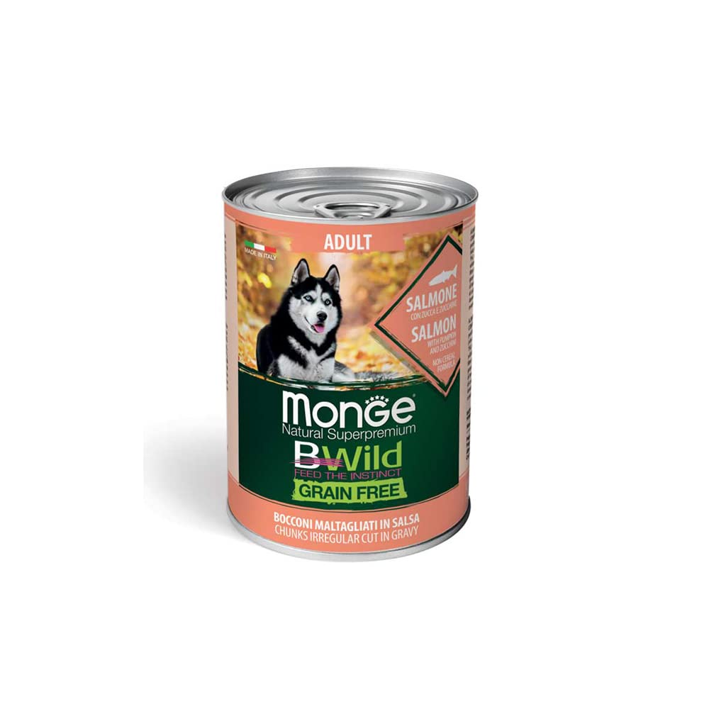 B-Wild Grain Free Chunks Adult Salmon with Pumpkin and Zuchhini for Dogs(Pack of 2) (B09R23BQKX) Amazon Price History, Amazon Price Tracker