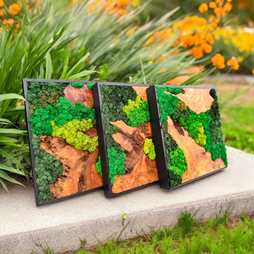 Serenzy 12" Square Cedar & Preserved Moss Wall Art | Unique No-Maintenance Decor for Home, Office, Restaurant, Angled Wood by Serenzy - Image 7