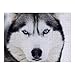 OneMtoss Huskies Wall Art Pinturas de madera Jigsaw Puzzle 500PCS para sala de estar regalos para niños
