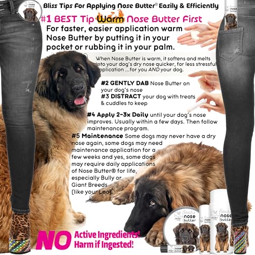 Image of The Blissful Dog Leonberger Nose Butter for Dry, Cracked Skin, Lick-Safe Dog Nose Balm with Moisturizing Shea Butter, Almond, Olive, and Essential Oils, Pet Supplies, Uncented, 8 oz.