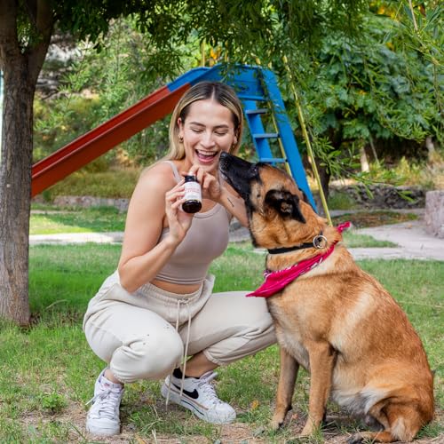 Proteínas, platinum l Marca homodeus (3)