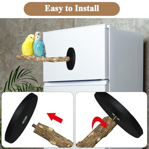 Image of Bird Stand Perch Toy, Double Layer Spinning Parakeet Toys Exercise Wheel Cockatiel Toy for Cages Wooden Perchs for Small & Medium Birds Cage Accessories for Parakeets Lovebirds Conures (Black)