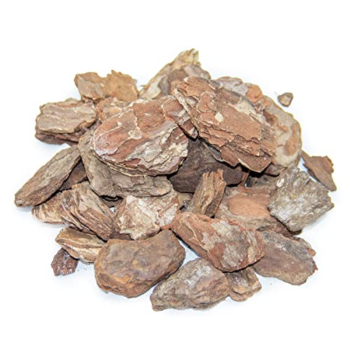 Clorophilla bark per orchidee - corteccia naturale per orchidea, ideale