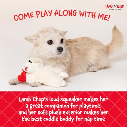 Multipet Lamb Chop Dog Plush Toy - Squeaky Toy for All Dogs - Extra Soft Plush - Stuffed Animal Dog Toy for Cuddling & Playing - Cute Pet Toy (6", Cream) - Image 6