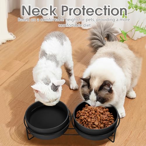 Ceramic Dog and Cat Bowl Set with Stand, 1.7 Cups Dog Food and Water Bowl Suitable for Small and Medium Pets (13.5oz Black) - Image 5