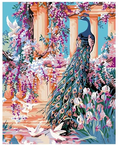 Pintar por Numeros Adultos,con Marco Animales del pavo real del jardín DIY Kit de Pintura Al óLeo de Lienzo con 3 Pinceles,Pigmento Acrílico Manualidades Hogar Decoración Paint by Numbers 20x30 cm