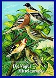 friedrich vogel maler  Johann Friedrich Naumann – Die Vögel Mitteleuropas: Naturgeschichte der Vögel. Vorzugsausgabe mit Fine Art Print \