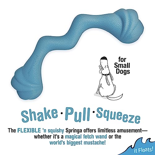Nylabone Springa Interactive Dog Toy for Small Dogs - Lightweight Flexible Floatable Dog Tug Toy for Creative Play & Dog Exercise