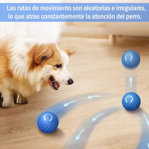 Reviews y listado de Perro interactivo que puedes comprar esta semana. 11 Reviews y listado de Perro interactivo que puedes comprar esta semana. 9