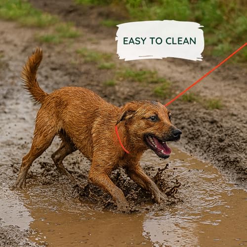 Romneys Moxon-Leine Biothane Neon Pro – handgefertigt in Deutschland, wasserfeste Trainings- & Jagdleine in Neon, robust & wetterfest, Länge 130 cm x 6 mm (Neon-Orange)