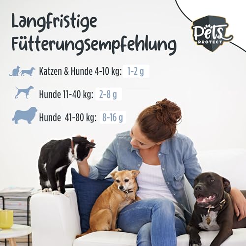 Pets PROTECT reines KOLLAGEN-Pulver für Hunde & Katzen 300 g | Gelenk-Gesundheit Hund | Kollagen-Hydrolysat aus Deutscher Herstellung | 100% natürlich | Collagen mit maximaler Nährstoffdichte