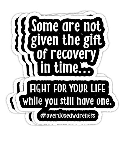 Mamy Dashy Overdose Awareness Addiction Recovery Gift Decorations - 4x3 Vinyl Stickers, Laptop Decal, Water Bottle Sticker (Set of 3)