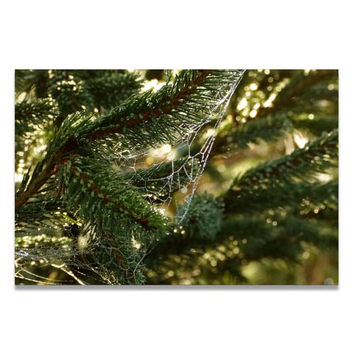 Cuadro de paisaje de montañas PinoNature, lienzo decorativo de 30x45cm para pared de dormitorio