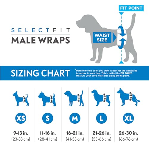 Paw Inspired Select Fit Hundewindeln für Rüden, Einweg-Bandagen für Rüden mit Nässeindikator, Bauchbänder für kleine, mittelgroße und große Hunde (Größe M, 20 Stück)