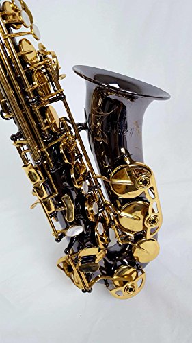 Selmer La Voix ll Alto Saxophone Outfit-Black