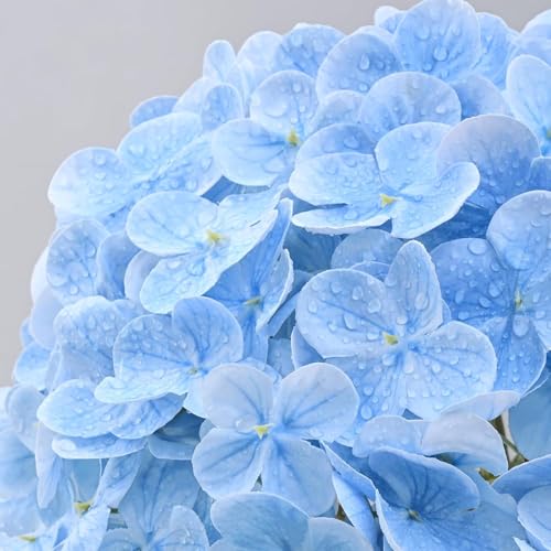Image of CURATED CART Hydrangea Artificial Flowers with Stem, 1 Stick for Home Decor, Party, Living, Office Table, Realistic Look, Fake Flowers, 12 Inch, Blue