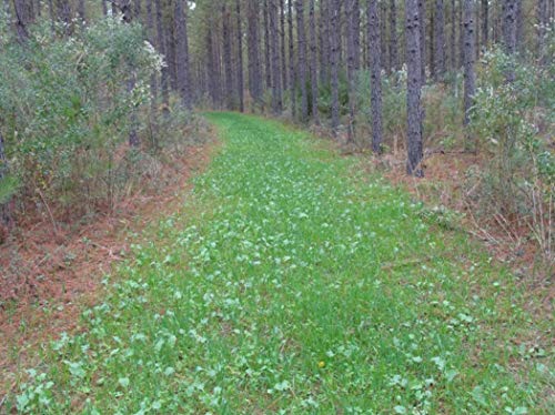 Whitetail Institute NP9 Imperial No-Plow Food Plot Seed thumb #3