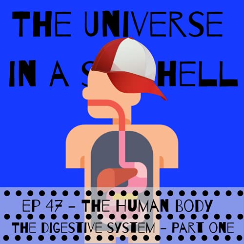 Page de couverture de The Human Body – The Digestive System – Part One