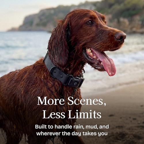 Fei & Eve VERO Series – MagEase Dog Collar, Patented Magnetic Buckles, 450LB Escape-Proof, PVC Waterproof, Fur-Safe, Odor Resistant & Wipes Clean, Adjustable Fit, Black Medium by Fei and Eve - Image 4