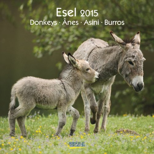 Esel 2015: Broschürenkalender mit Ferienterminen Esel 2015: Broschürenkalender mit Ferienterminen