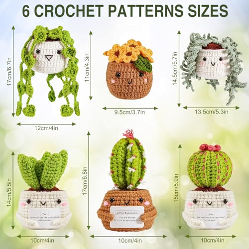 ASTNIC Crochet Kit for Beginners 6Pcs Hanging Potted Plants Crochet Starter Kit - Image 2