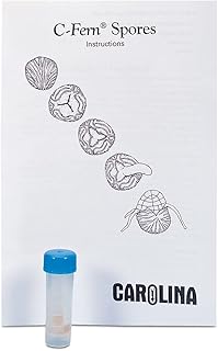 C-Fern Spores, Wild Type, Presterilized Vial, Kit-Sized