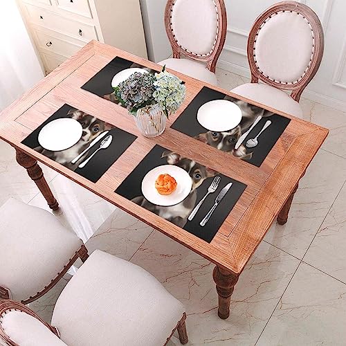 Sets de table imperméables pour repas en extérieur et intérieur