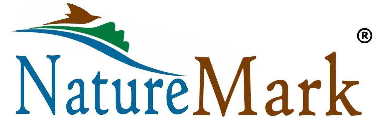 NatureMark Prześcieradło dżersejowe z gumką, 100% bawełna, w wielu rozmiarach i kolorach, markowa jakość, Öko-Tex Standard 100 (180x200-200x200 cm, Czarny)
