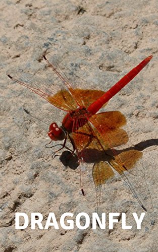 INSECT : DRAGONFLY PHOTOBOOK (English Edition) - VIEW, ENG