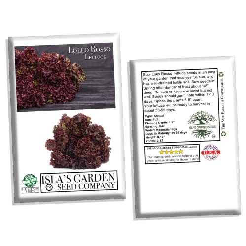 Lollo Rosso Leaf Lettuce Seeds For Planting, 500+ Heirloom Seeds Per Packet, (Isla's Garden Seeds), Non Gmo Seeds, Botanical Name: Lactuca Sativa, Great Home Garden Gift #TOP5