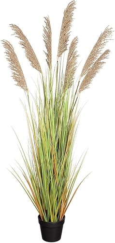 SilksAreForever 411 Artificial Blooming Pampas Grass Plant wPot -BeigeGreen Pack of 2