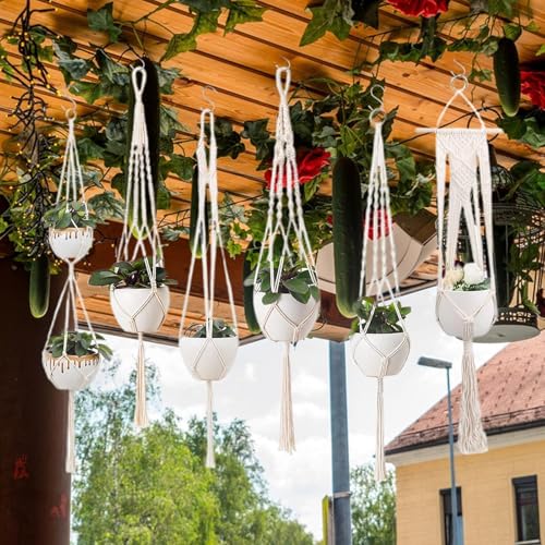 Panier suspendu d'intérieur pour protéger vos plantes des chats - 3