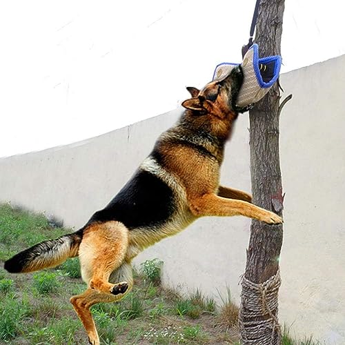 Beissbrett, Hunde Trainings Ausrüstung Schutzhülle Armschutz Für Linke Rechte Hand Beißkissen Ausbildung Junger Hund Mittlerer Größe Hundetraining Supplies Beißkissen Arm Schutz Hundesport Spielzeug