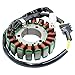 Produktbild LOOEIN Motorrad -Statorspule Motorrad Generator Stator Coil Comp Für Yama&ha FZ6 FZ6N FZ6S FZ6NS FZ6NA FZ6-SA2 FZ6-NA FZ6-S2 FZ6-NHG Naked FAZER S2 FZ6-SW