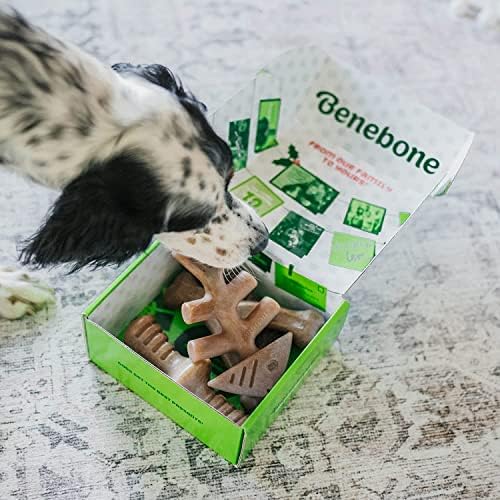 Benebone Indestructible Dog Chew Toy Gift Box for Aggressive Chewers with Wishbone, Fishbone, Stick & Zaggler, Long Lasting Boredom Breakers, 100% Real Flavours, For Large Dogs, Made in the USA.