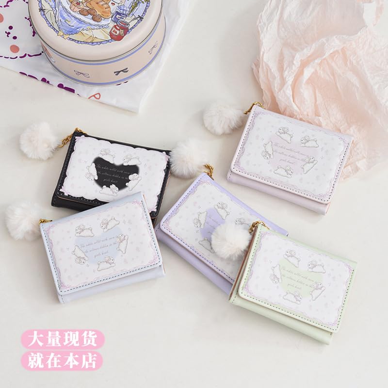 Wallet for Women Coquette Stuff, Cutecore Trifold Wallet Coquette Stuff Kawaii Card Holder Cottagecore Y2k Accessories (Blue)4