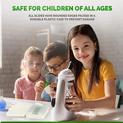 Amscope Ps25P Prepared Microscope Slide Set For Basic Biological Science Education, 25 Slides, Includes Fitted Plastic Case #TOP4