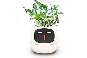 Innovative Robot Planter: Nurture Your Plants Smartly