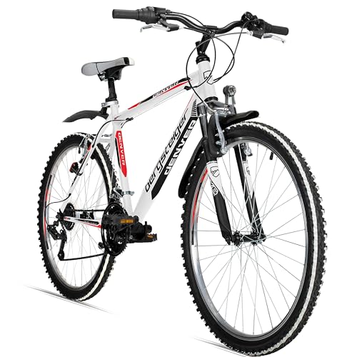 Bergsteiger Denver 26 Zoll Mountainbike, geeignet ab 155 cm, 18 Gang-Schaltung, Licht, Schutzblech, Gabel-Federung