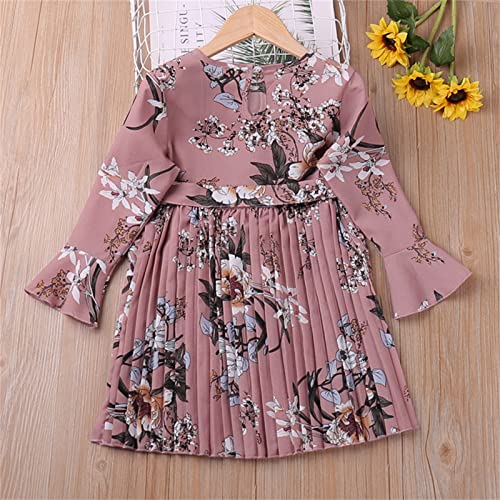 Vestido de formatura de verão para meninas, casual, gola redonda, manga comprida, estampa floral, li