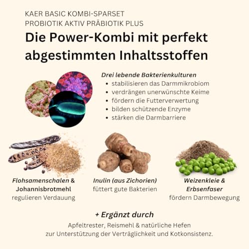 kaer basic Probiotik & Präbiotik Kombi-Sparset für Hunde – rundum Starke Darmbalance bei Kotfressen, Juckreiz, Sodbrennen, sensibler Verdauung & zur Darmsanierung – 2×200g Pulver