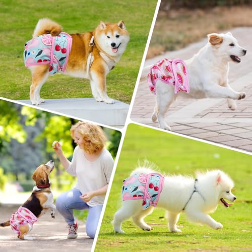 3 Stück Größe S Wiederverwendbare Hundewindeln Weiblich, Läufigkeitshose für Hündinnen für kleine Hunde bei Läufigkeit und Inkontinenz, Hochsaugfähige Hundewindeln Größenverstellbar