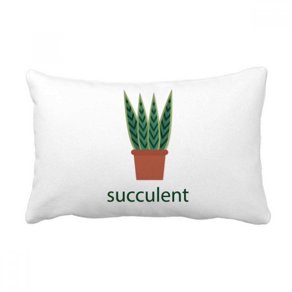 Coussin succulentes vert oreiller lombaire cactus plante déco maison canapé 40x60cm