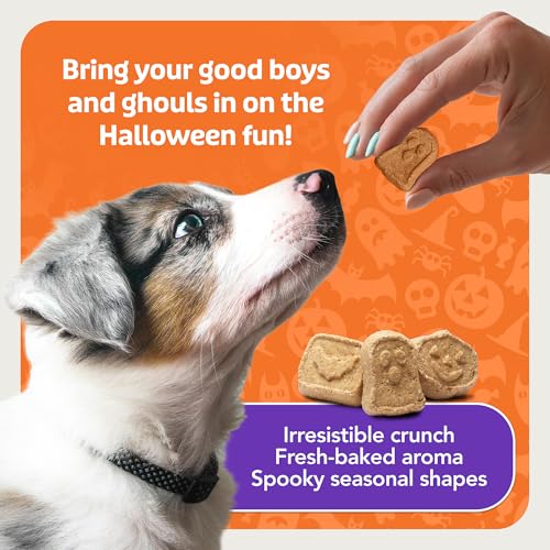 Blue Buffalo Boo Bars Pumpkin & Cinnamon Dog Biscuits, 11 oz - image 7