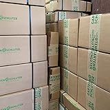 Weiße Hagebutte Syltrose Apfelrose Rosa rugosa Alba Dünenrose pflegeleicht undurchdringlich Heckenpflanze Insektennährgehölz Vogelnährgehölz (Im 3 Liter Topf 40-60cm)